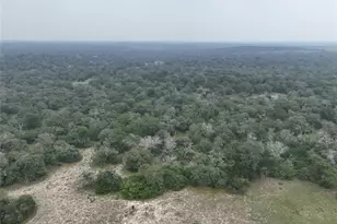 506 Daisy Hvn Ln, Seguin, TX 78155 - Photo 5