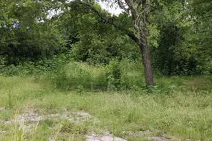 300 N Austin St, Wolfe City, TX 75496 - Photo 5