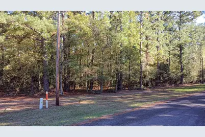 Tbd Mockingbird Hills, Livingston, TX 77351 - Photo 11