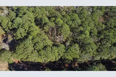 Tbd Mockingbird Hills, Livingston, TX 77351 - Photo 9