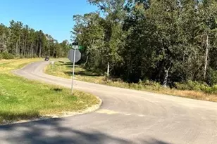 11530 E Bramble Ct, Willis, TX 77378 - Photo 7