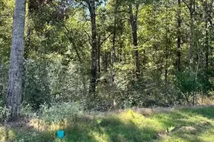 11530 E Bramble Ct, Willis, TX 77378 - Photo 5