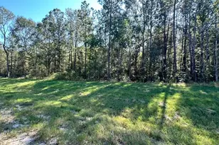 11530 E Bramble Ct, Willis, TX 77378 - Photo 1