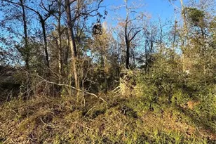 307 Magnolia Bend Dr, New Caney, TX 77357 - Photo 1