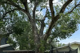 8546 Western Dr, Houston, TX 77055 - Photo 5