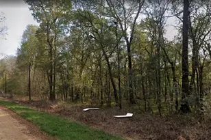 Tbd Neumann St, Coldspring, TX 77331 - Photo 1