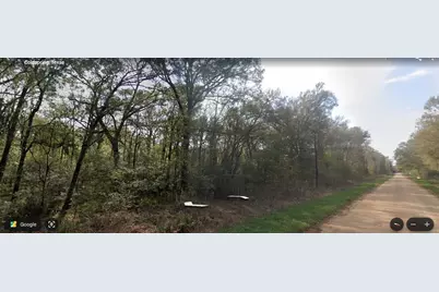 Tbd Neumann Street, Coldspring, TX 77331 - Photo 3