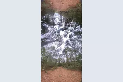 0 Sandy Lane, Point Blank, TX 77364 - Photo 9