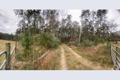 0 Sandy Lane, Point Blank, TX 77364 - Photo 11