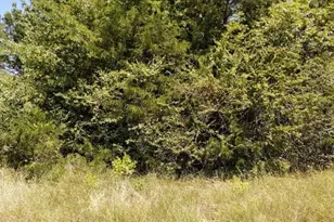 Lots 632 & 633 Shoshone Dr, Gordonville, TX 76245 - Photo 3