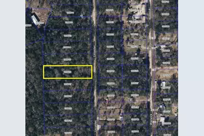 19156 Leicester, New Caney, TX 77357 - Photo 5