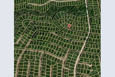 Lot 16 Redbud Lane, Normangee, TX 77871 - Photo 3