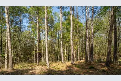 000 Bighorn Road, New Waverly, TX 77358 - Photo 11