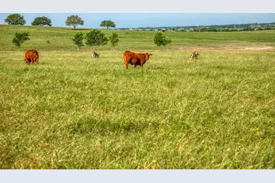 5005 Fuchs Rd - Lot 6, Burton, TX 77835 - Photo 7