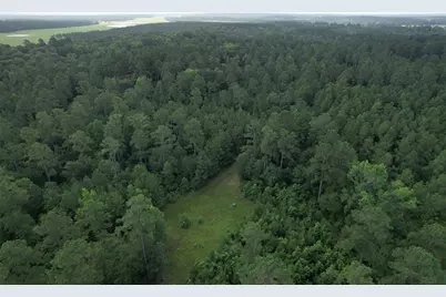 0000 Cr 4020, Crockett, TX 75835 - Photo 7