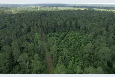 0000 Cr 4020, Crockett, TX 75835 - Photo 1