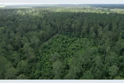 0000 Cr 4020, Crockett, TX 75835 - Photo 9