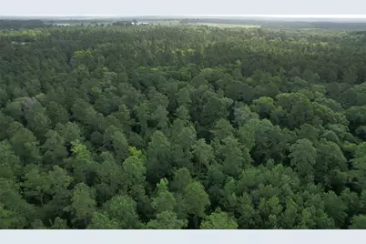 0000 Cr 4020, Crockett, TX 75835 - Photo 13