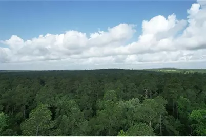 0000 Cr 4020, Crockett, TX 75835 - Photo 5