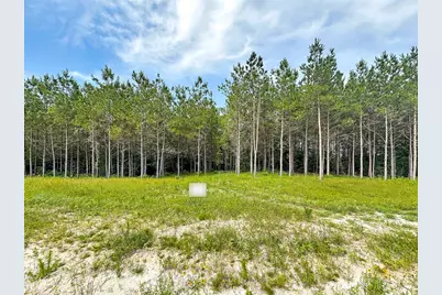 Tbd Canopy Ridge Trail, Grapeland, TX 75844 - Photo 11