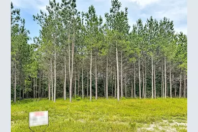 Tbd Canopy Ridge Trail, Grapeland, TX 75844 - Photo 13