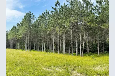 Tbd Canopy Ridge Trail, Grapeland, TX 75844 - Photo 9