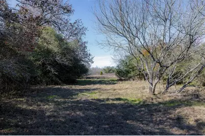 1589 Jeddo Road, Rosanky, TX 78953 - Photo 5