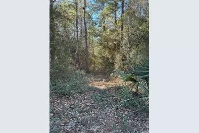 10-22-16 Lonestar Rd Road, Huntsville, TX 77340 - Photo 3