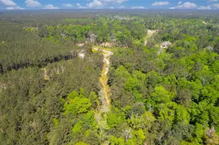 12868 Oak Barrel Rd, Willis, TX 77378 - Photo 31