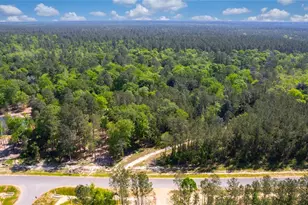 12868 Oak Barrel Rd, Willis, TX 77378 - Photo 19