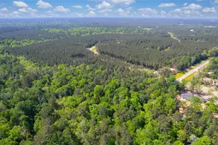 12868 Oak Barrel Rd, Willis, TX 77378 - Photo 5