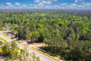 12868 Oak Barrel Rd, Willis, TX 77378 - Photo 21