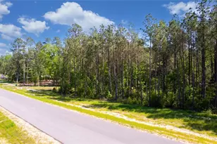 12868 Oak Barrel Rd, Willis, TX 77378 - Photo 29