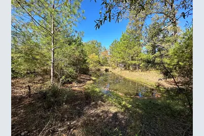 1529 Pinecrest Road, Trinity, TX 75862 - Photo 1