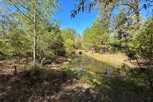 1529 Pinecrest Rd, Trinity, TX 75862 - Photo 1