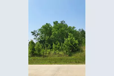 898 County Road 5003, Cleveland, TX 77327 - Photo 5