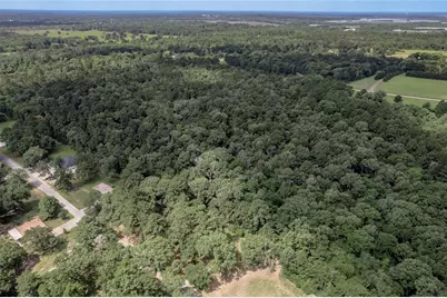 Lot 38 Peach Point Lane, Trinity, TX 75862 - Photo 19