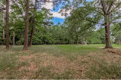 Lot 38 Peach Point Lane, Trinity, TX 75862 - Photo 9