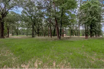 Lot 38 Peach Point Lane, Trinity, TX 75862 - Photo 11