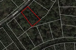 Lot 3 Republic, Roman Forest, TX 77357 - Photo 5