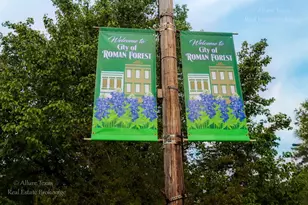 Lot 3 Republic, Roman Forest, TX 77357 - Photo 13