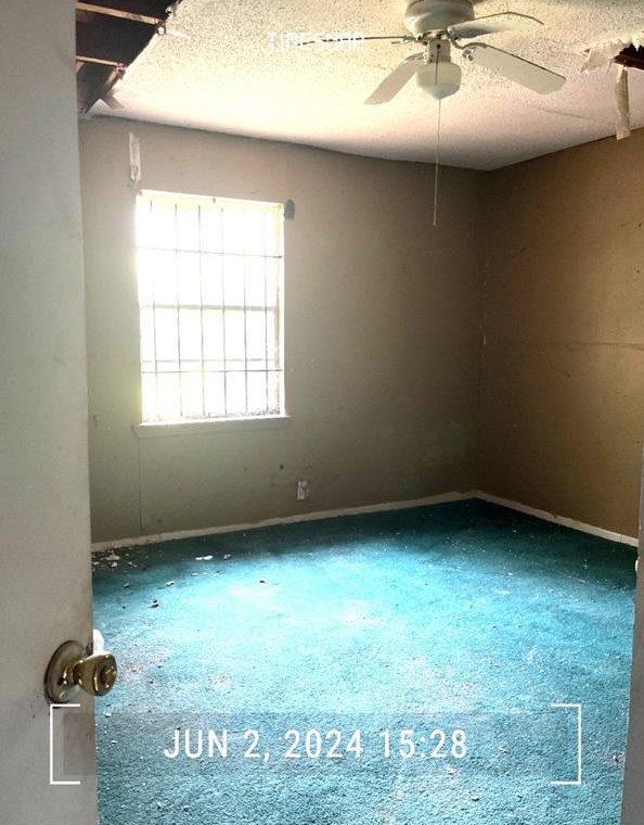 2417 Wayne, Houston TX  77026-3822 exterior