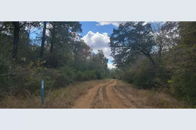 22.37Ac. Pr 1100 Road, Leona, TX 75850 - Photo 1