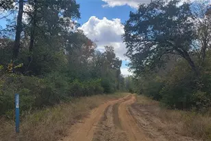 22 37Ac Pr 1100 Rd, Leona, TX 75850 - Photo 1