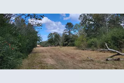 22.37Ac. Pr 1100 Road, Leona, TX 75850 - Photo 11