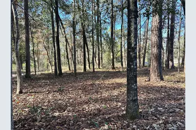 178 Alex Court, Livingston, TX 77351 - Photo 5