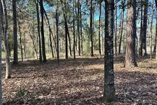 178 Alex Ct, Livingston, TX 77351 - Photo 5