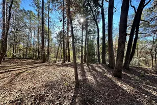 178 Alex Ct, Livingston, TX 77351 - Photo 29