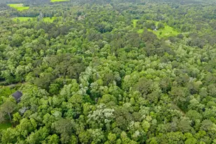 17960 Dogwood Dr, Conroe, TX 77303 - Photo 3