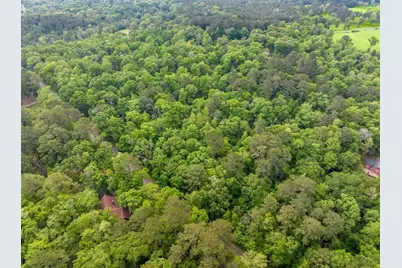 17960 Dogwood Drive, Conroe, TX 77303 - Photo 9